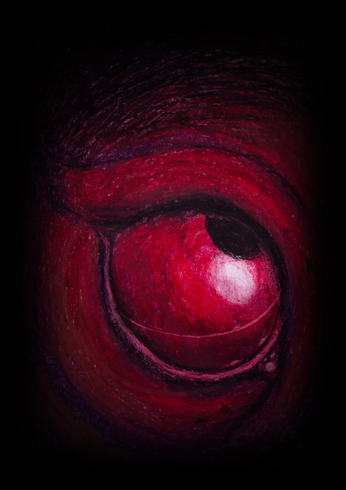 Ilustrated Edition (Coming soon!)